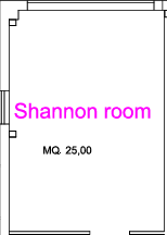 Shannon room